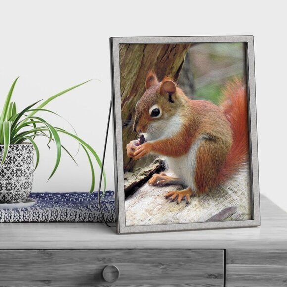 noblecaptures Other - 4x6 Cute Squirrel Eating Gorgeous Oil Painting Art Print